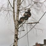 APA - Armentières Paysages et Avenir - Abatage, élagage, soin aux arbres